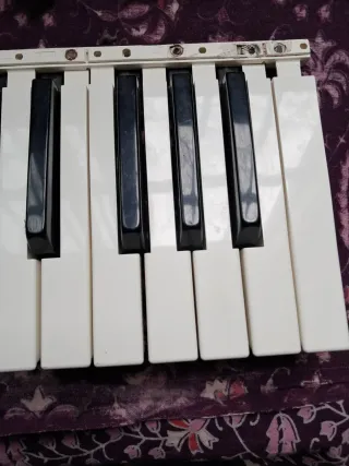 Teclas Casio ctk cada octava 10 euros