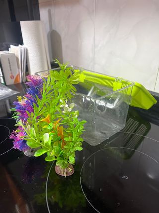 Transportín peces/reptiles con  (6) accesorios