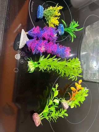 Transportín peces/reptiles con  (6) accesorios