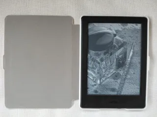 Ebook Kindle 8.3 Generación