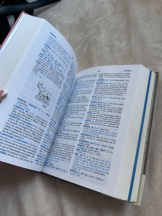 Diccionario Latín (Spanish Edition)