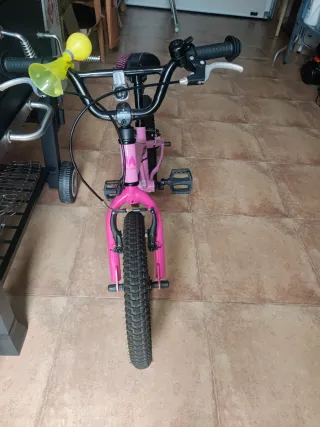 Bicicleta Monty Rosa 103