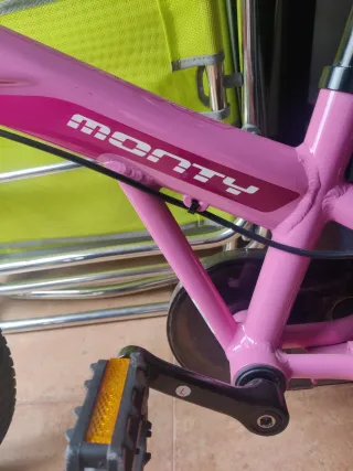 Bicicleta Monty Rosa 103