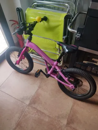 Bicicleta Monty Rosa 103