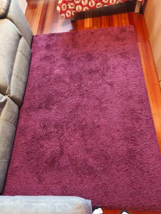 Alfombra púrpura de pelo largo poliéster 133c