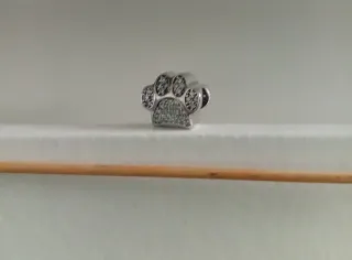 Charm Huella Mascota Plata Brillante.