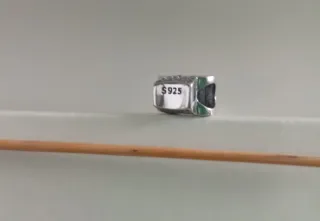 Charm Huella Mascota Plata Brillante.