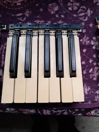 Teclas Yamaha PSR 500 puede vale para otros modelo