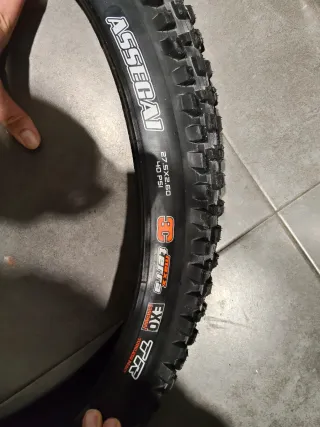 Cubierta Maxxis Assegai MTB EXO Protection TR