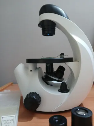 Microscopio Invertido