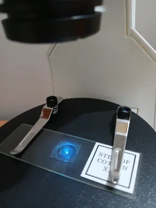 Microscopio Invertido