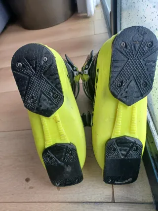 Botas de esquí Head