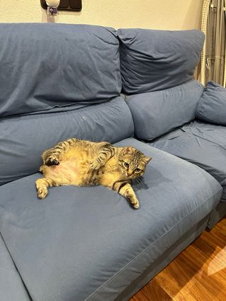 Sofá 3 plazas azul tela.