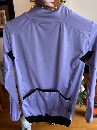 Maillot Manga larga Ciclismo Biehler