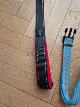 Set guinzaglio e collare per cani grandi