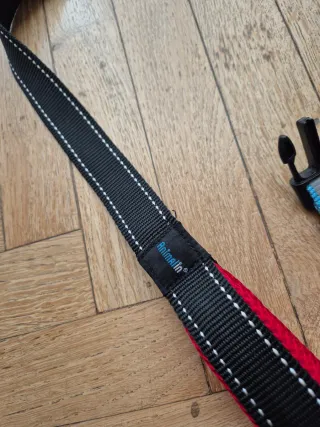 Set guinzaglio e collare per cani grandi