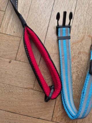 Set guinzaglio e collare per cani grandi