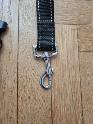 Set guinzaglio e collare per cani grandi