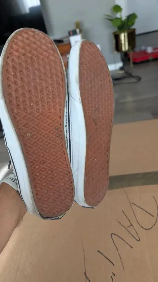 Tênis Vans Estampa Cobra