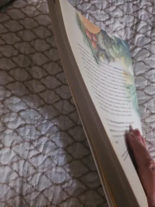 Comida sana de saber vivir