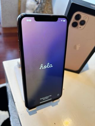 iPhone 11 Pro Max Oro