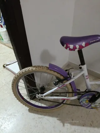 Bicicleta infantil niña