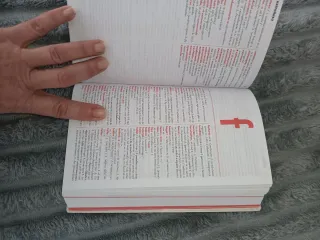 Diccionario pocket francés- español / español -...