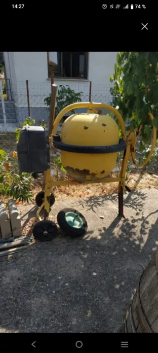 Hormigonera amarilla