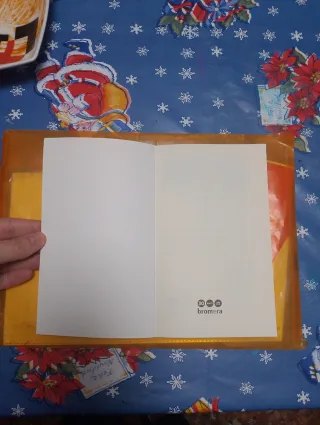 Història de Marco i Mirko