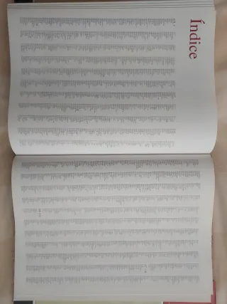 Diccionario multilingüe  10 idiomas