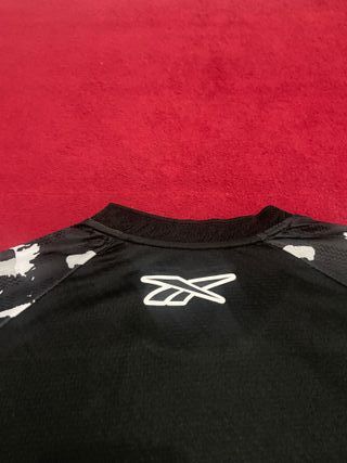 Camiseta Botafogo Alternativa 25/26