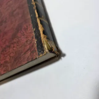 Libro Antico 1754 Catechista in Pulpito Cuniliati