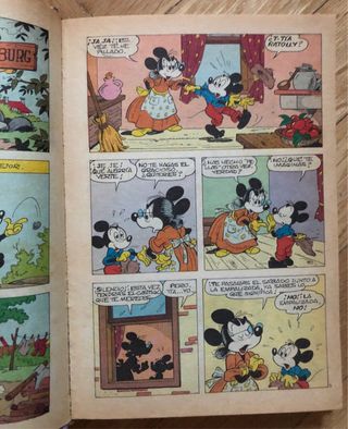 Biblioteca Disney 14 walt disney Primavera