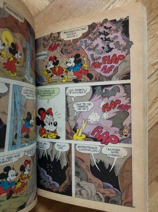 Biblioteca Disney 14 walt disney Primavera