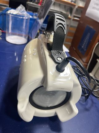 Secador de pelo para perros