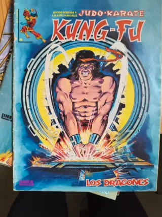 Lote Vértice Shang-chi Judo-karate kung fu