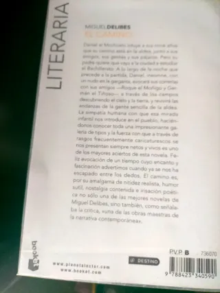 El camino (Spanish Edition)