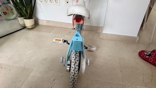 Bicicleta infantil Bluey