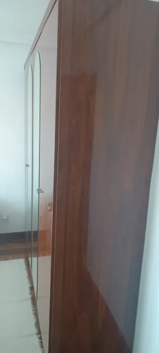 Armario de madera con puertas de espejo