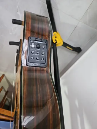 Guitarra Veracruz Amplificada Caja Estrecha