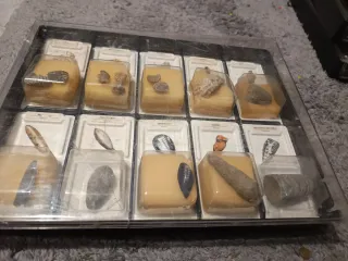 Colección Fósiles Rocas Minerales