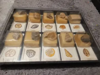 Colección Fósiles Rocas Minerales