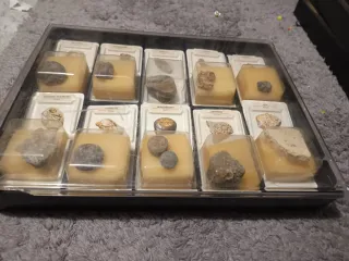 Colección Fósiles Rocas Minerales