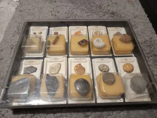 Colección Fósiles Rocas Minerales