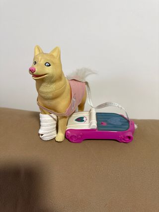 Nancy veterinaria con clínica y perro