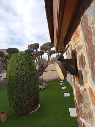 Servicio de poda y decoración de setos