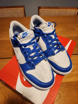 Nike Dunk Low Talla 45 Azul Blanco