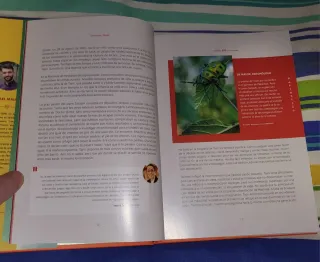 Generación Pokémon (1ª edición)