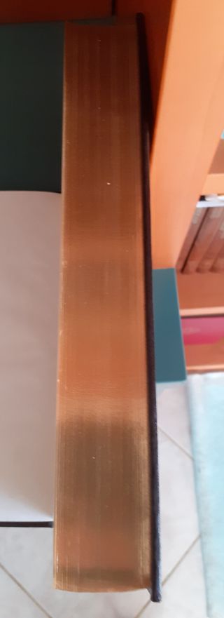 La Sacra Bibbia SAIE