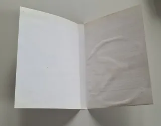 Mr. Moskeeto PS2 (PlayStation 2)